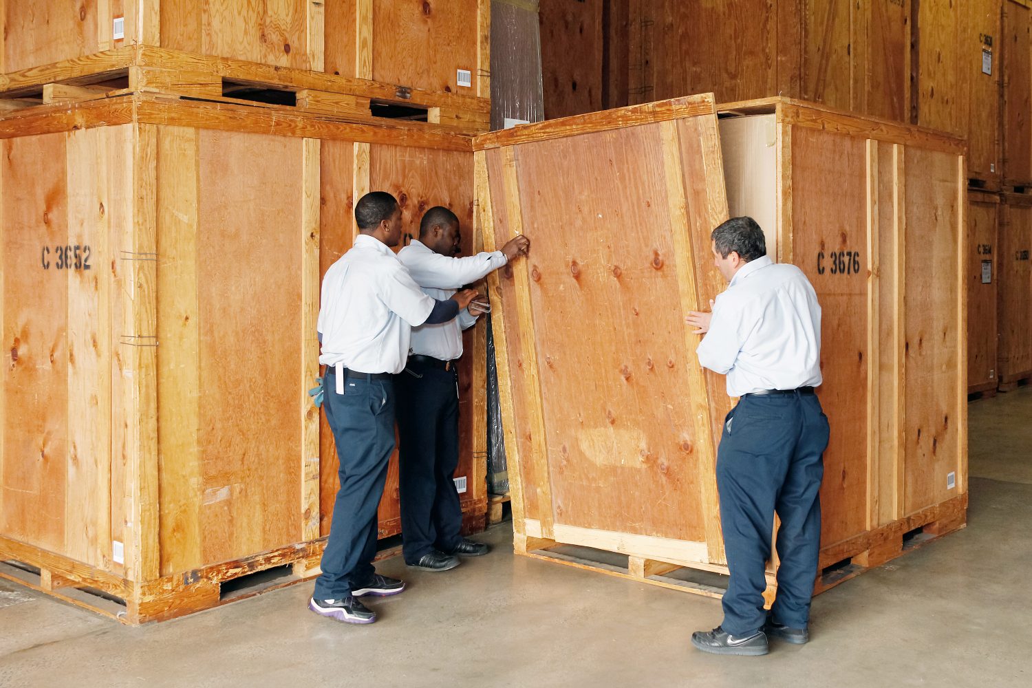 Navigating Complex Logistics Projects